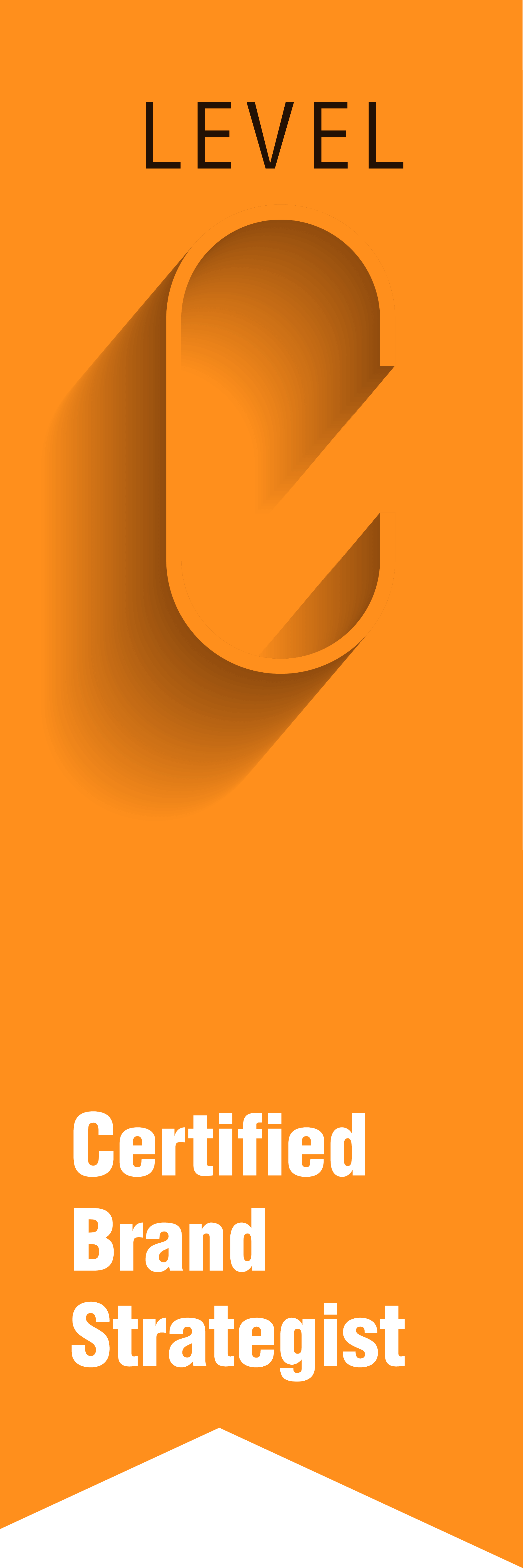 Level C – Certified Brand Strategist