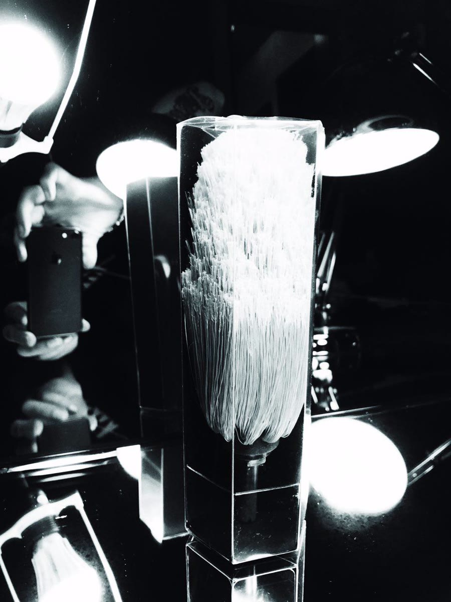 Black-and-white studio shot — a brush in clear packaging lit under photo lamps, evaluating the pack.