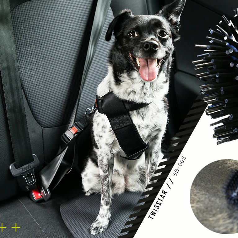 Cheeky lifestyle cutout — a dog belted into a car seat, the brand stripe on the edge.