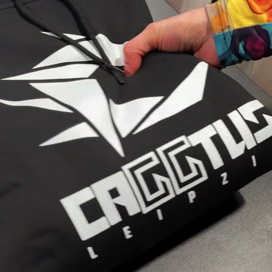 Caggtus Logo-Anwendung 2