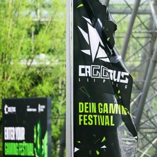 Caggtus Logo-Anwendung 6